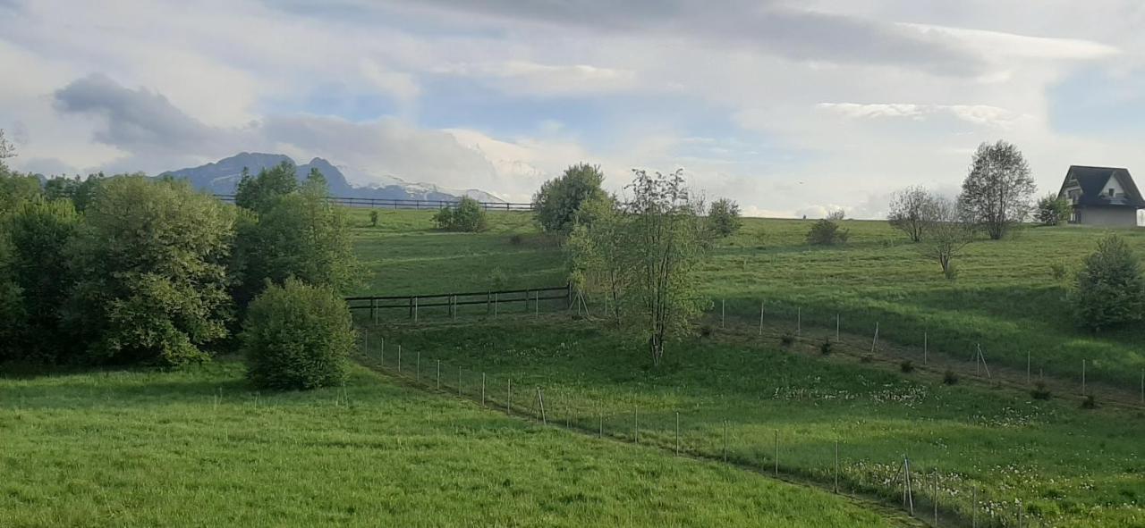 Pokoje Goscinne Przeklasa Pawel Zakopane Eksteriør bilde