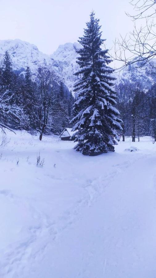 Pokoje Goscinne Przeklasa Pawel Zakopane Eksteriør bilde