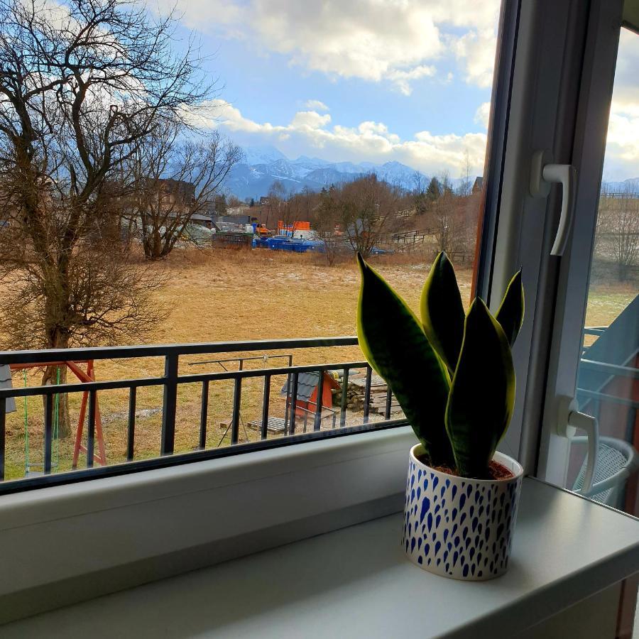 Pokoje Goscinne Przeklasa Pawel Zakopane Eksteriør bilde